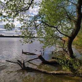 Öreg-tó, Tata - Egyéb