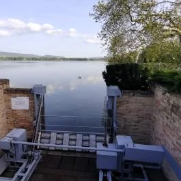 Öreg-tó, Tata - Egyéb