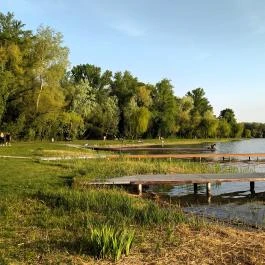 Öreg-tó, Tata - Egyéb