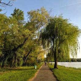 Öreg-tó, Tata - Egyéb