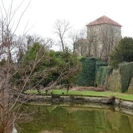 Öreg-tó, Tata - Egyéb