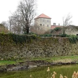 Öreg-tó, Tata - Egyéb