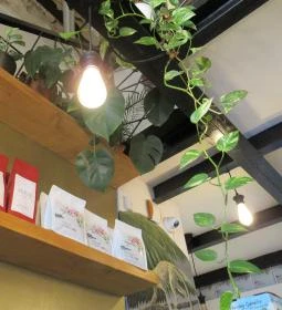 Orient Café Budapest