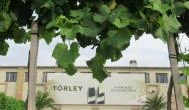 Törley Pezsgőmanufaktúra és Látogatóközpont  Budapest - Egyéb