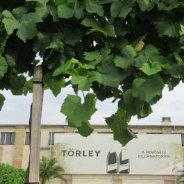 Törley Pezsgőmanufaktúra és Látogatóközpont  Budapest - Egyéb