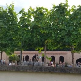 Törley Pezsgőmanufaktúra és Látogatóközpont  Budapest - Egyéb