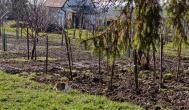 Orondi szőlőhegy Csákberény - Külső kép
