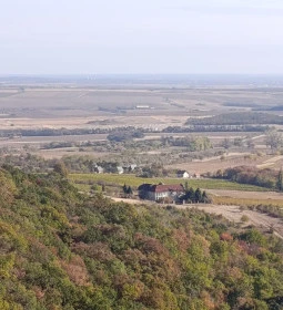 Orondi szőlőhegy