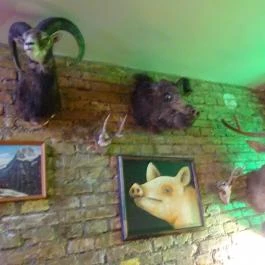 Otthonka Budapest - Egyéb