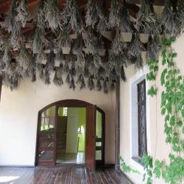 Ozorai várkastély Ozora - Egyéb