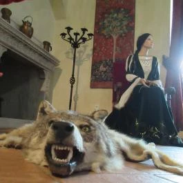 Ozorai várkastély Ozora - Egyéb