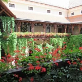 Ozorai várkastély Ozora - Egyéb