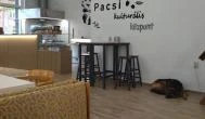 Pacsi Pizzéria & Kulturális Központ Budapest - Belső