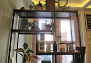 Pagony Café - Dió Budapest