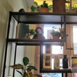 Pagony Café - Dió Budapest - Belső