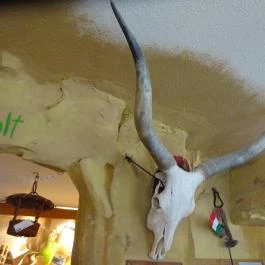 Pál Söröző & Barlangterasz Budapest - Egyéb