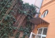 Pálffy Pálné grófnő palotája Budapest