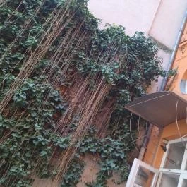 Pálffy Pálné grófnő palotája Budapest - Egyéb