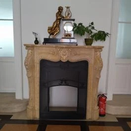 Pálffy Pálné grófnő palotája Budapest - Egyéb