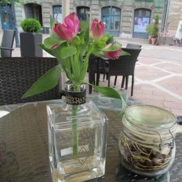 Pálinka Patika, Esztergom - Belső