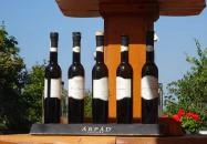 Pálinka Terasz Budapest