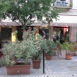 Pálma Bisztró Kecskemét - Külső kép