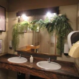 Pálma Étterem Debrecen - Egyéb