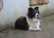 Pálos malom Zalamerenye