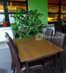 Panda Kínai Étterem