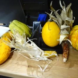 Paneer - Katona József utca Budapest - Belső