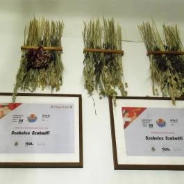 Panificio Il Basilico - Bem utca Budapest - Belső