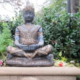 Panificio Il Basilico Szentendre Szentendre - Belső