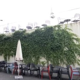 PannAmore, Sopron - Egyéb