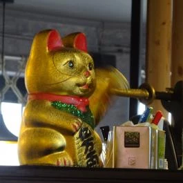 Papírtigris Budapest - Belső