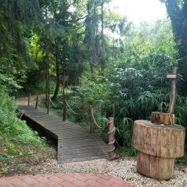 Papkert, Hidegség - Egyéb