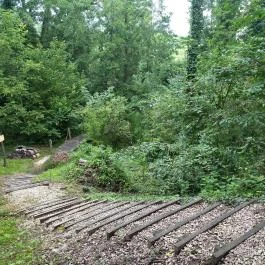 Papkert, Hidegség - Egyéb