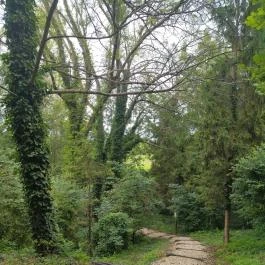 Papkert, Hidegség - Egyéb