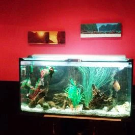 Parázs Presszó Budapest - Belső