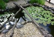 Park Terasz Büfé Miskolc