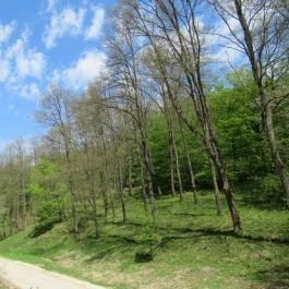 Park Vendégházak, Ajka - Környék