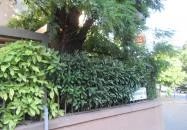 Park Vendéglő Budapest