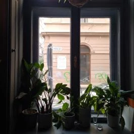 Parlé Budapest - Egyéb