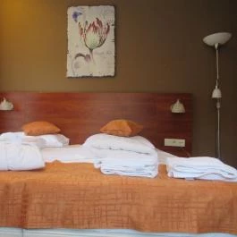 Patak Park Hotel Visegrád - Egyéb