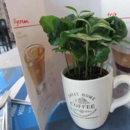 Patmos Records & Café Budapest - Belső