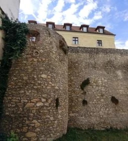 Patrick's Pizzeria & Lounge