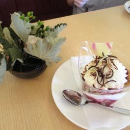 Paulina Kávézó Bajna - Egyéb