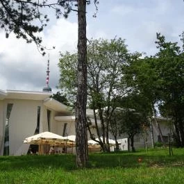 Pécsi Állatkert Pécs - Egyéb