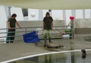 Pécsi Állatkert Pécs