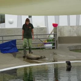 Pécsi Állatkert Pécs - Egyéb