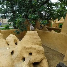 Pécsi Állatkert Pécs - Egyéb